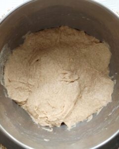 Whole Grain Bread dough