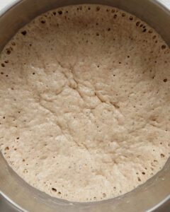 Whole Grain Bread dough